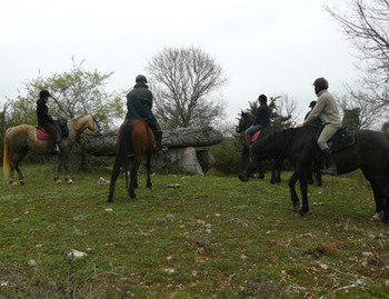 Equidés de Loisir (ASSEL) du Lot